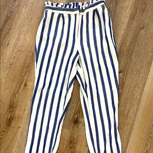 Express Casual Dress Pant